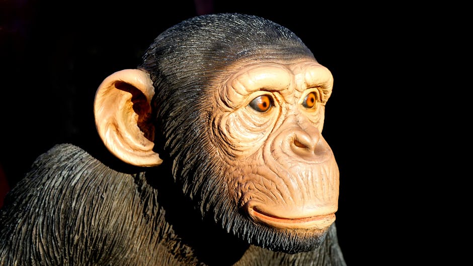 Read more about the article Advanced Educational Animal Animation Techniques and Methods